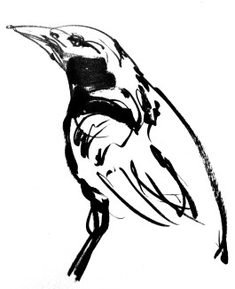 Badpoet